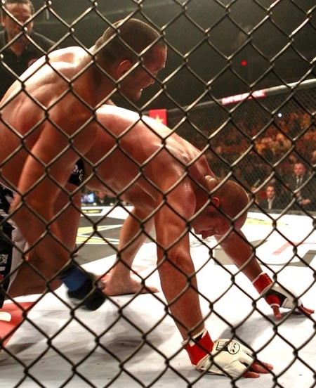 Dan Henderson feodr emelianenko mma bg