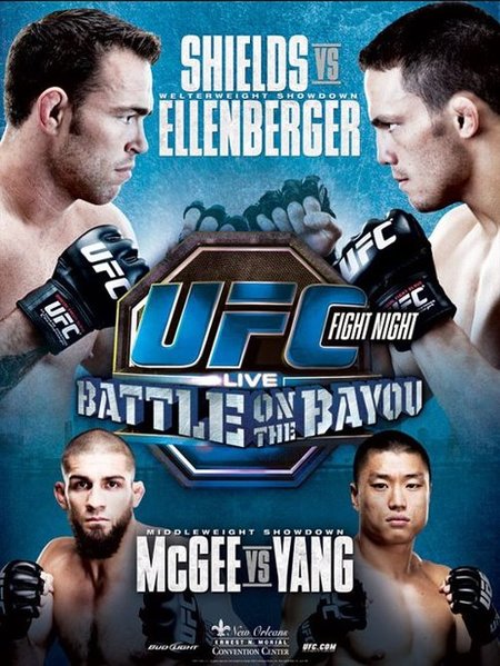 ufc fight night 25