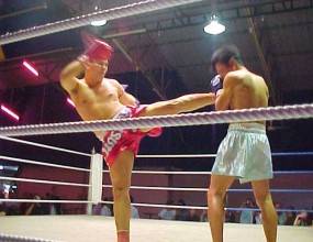 mma муай тай кик бокс