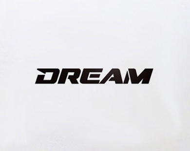 dream mma свободни двубои