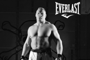 everlast mma bulgaria