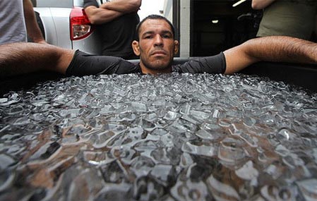 Antonio Rodrigo Nogueira ufc mma bg