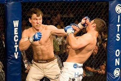 brian bowles ufc mma