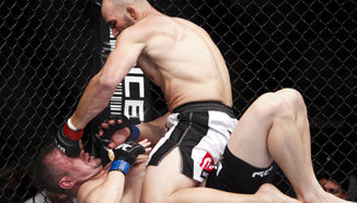 Glover Teixeira: Елементите на боеца