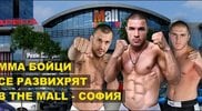 Днес е отворената тренировка на ММА бойците в The Mall