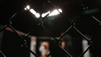 Най-откачените моменти през 2013-та според Inside MMA