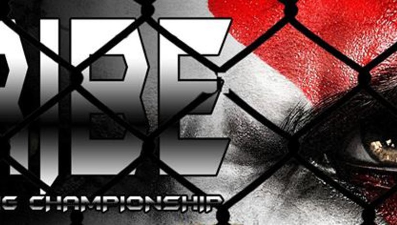 ММА турнир по случай "5 години Fight Club Bully Team" на 26 април в град София