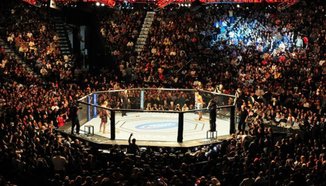 Резултати от UFC Fight Night 48