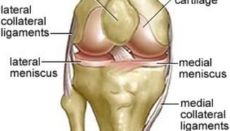 Болки в коленете