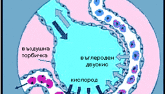 Дишането