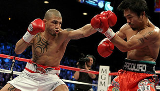 Кото може да се откаже